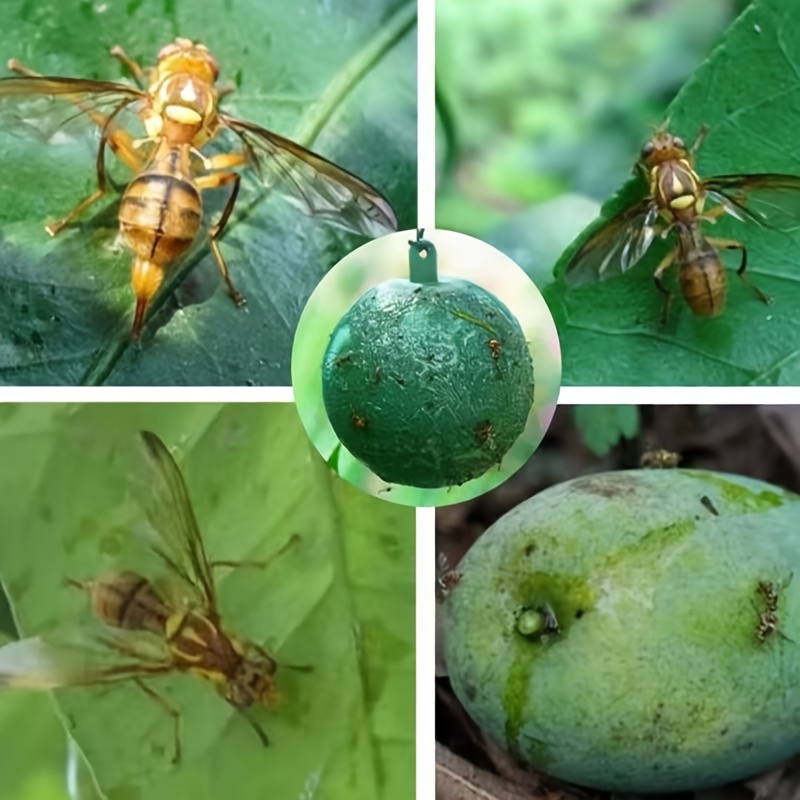 7pcs Large Fruit Fly Ball Trap Sticky Insect Ball Citrus Needle Bee Yellow Green