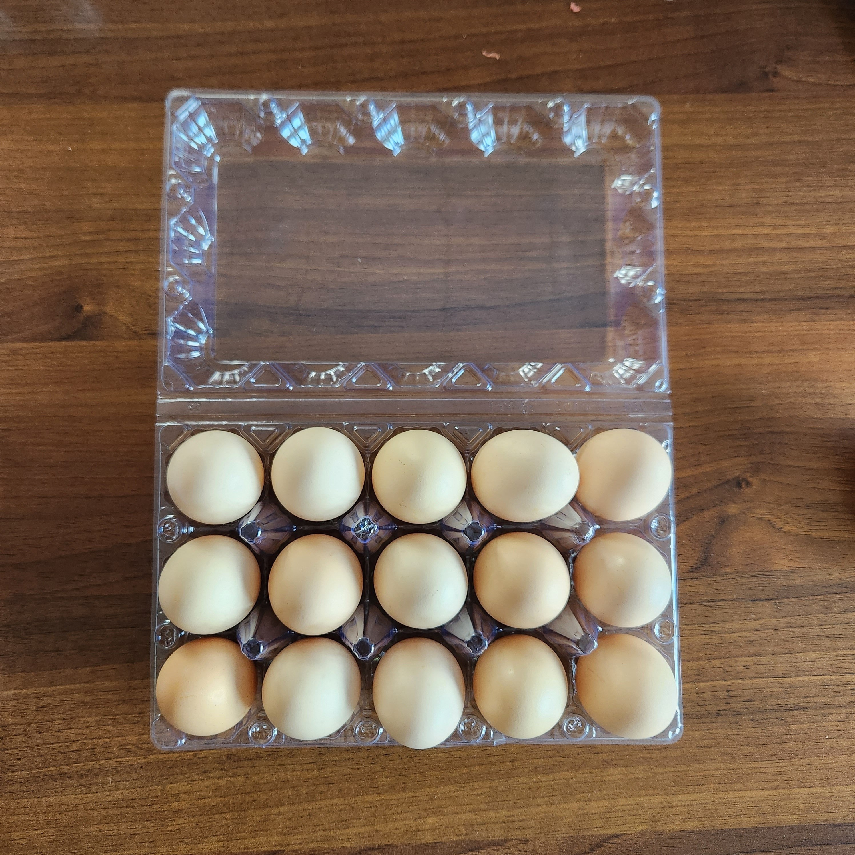 Pack de 12 Huevos de Plástico