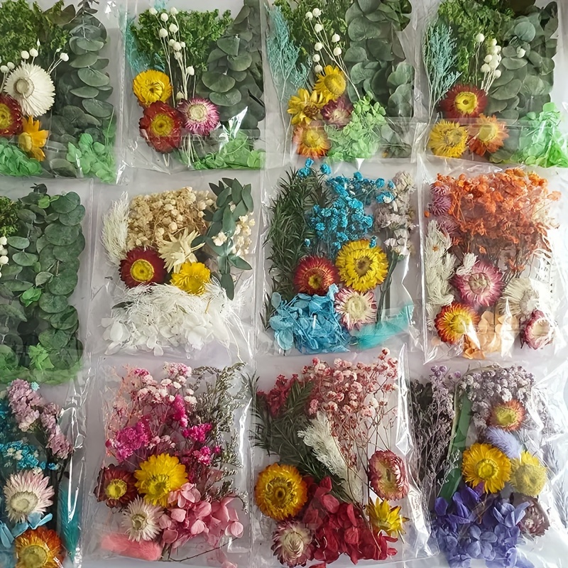 Diy Flowers For Crafts Vintage Dried Flowers For Notebook Clip Art