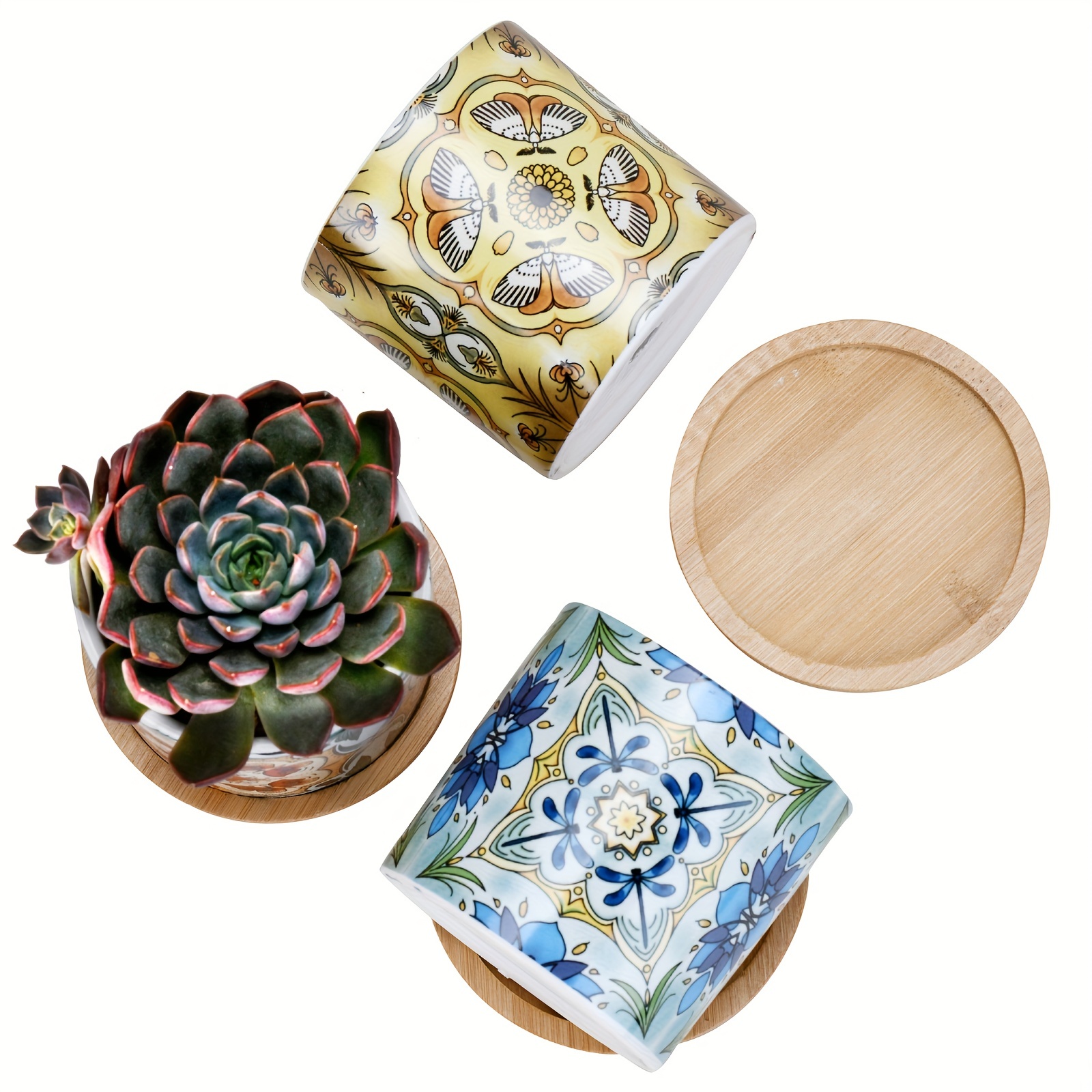 1pc Vaso Piante Interno Vasi Piante Grasse Vaso Cactus Mini Piante Piante  In Ceramica Idea Regalo Vasi Fiori Interno Decorazioni Casa E Lufficio  Serie Libellule-farfalla-moth Foro Drenaggio E Vassoio In Bambù 3,4