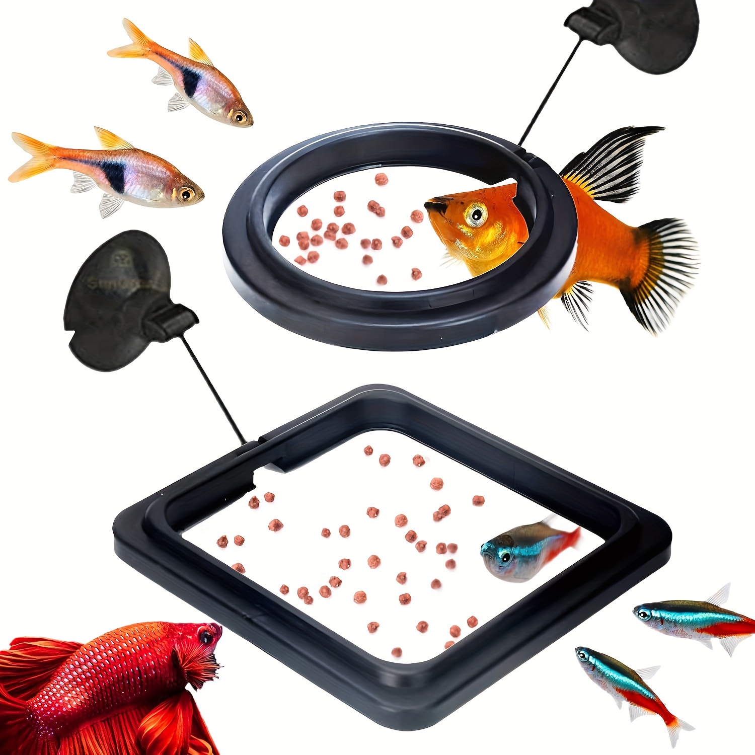Goldfish Food - Temu