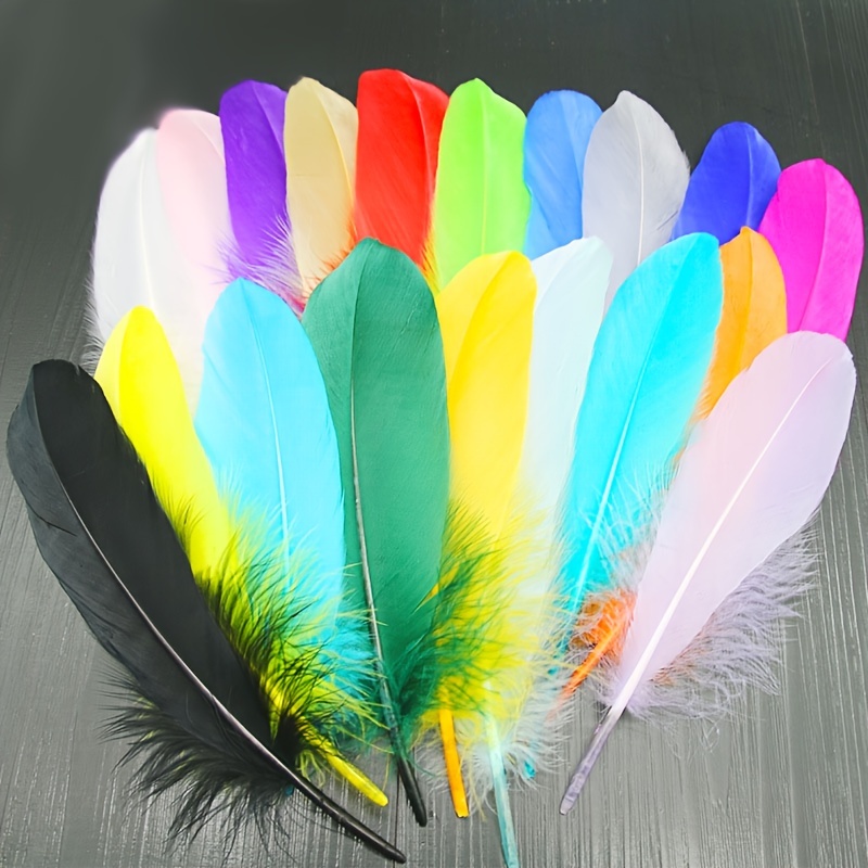 120 plumas de ganso coloridas para manualidades, fabricación de joyas,  bodas, decoración del hogar o fiesta, 12 colores (6-8 pulgadas) : Arte y  Manualidades 