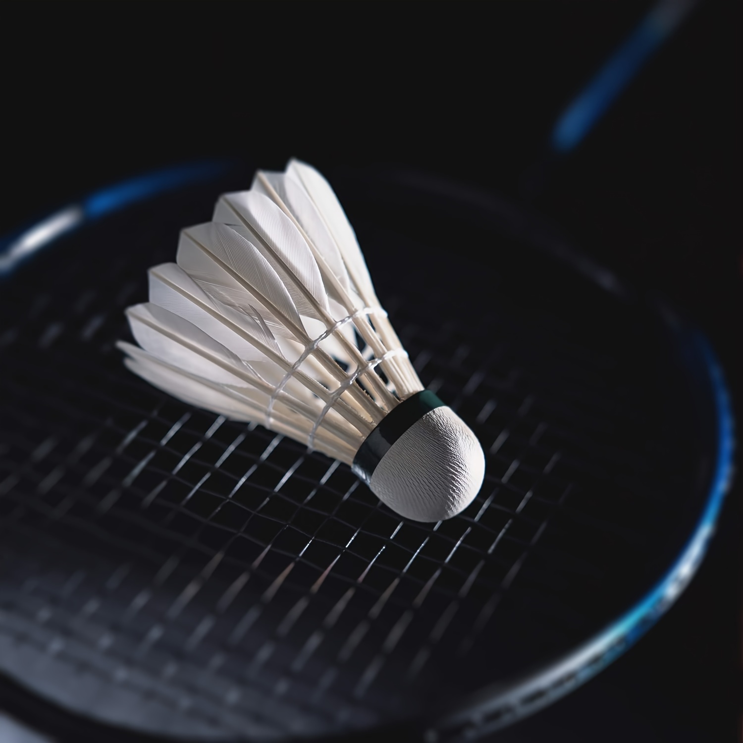 Balle De Badminton 12 Pièces Volant En Plumes D'oie Adapté À - Temu Canada