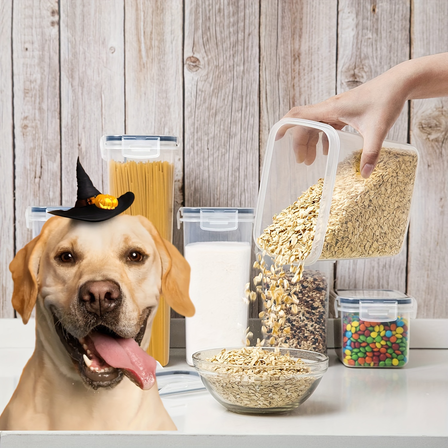 2/4pcs Contenedores De Almacenamiento De Alimentos Para Mascotas Con Tapas,  Cubos De Comida Herméticos De Plástico Sin BPA Con Etiquetas Para Perros
