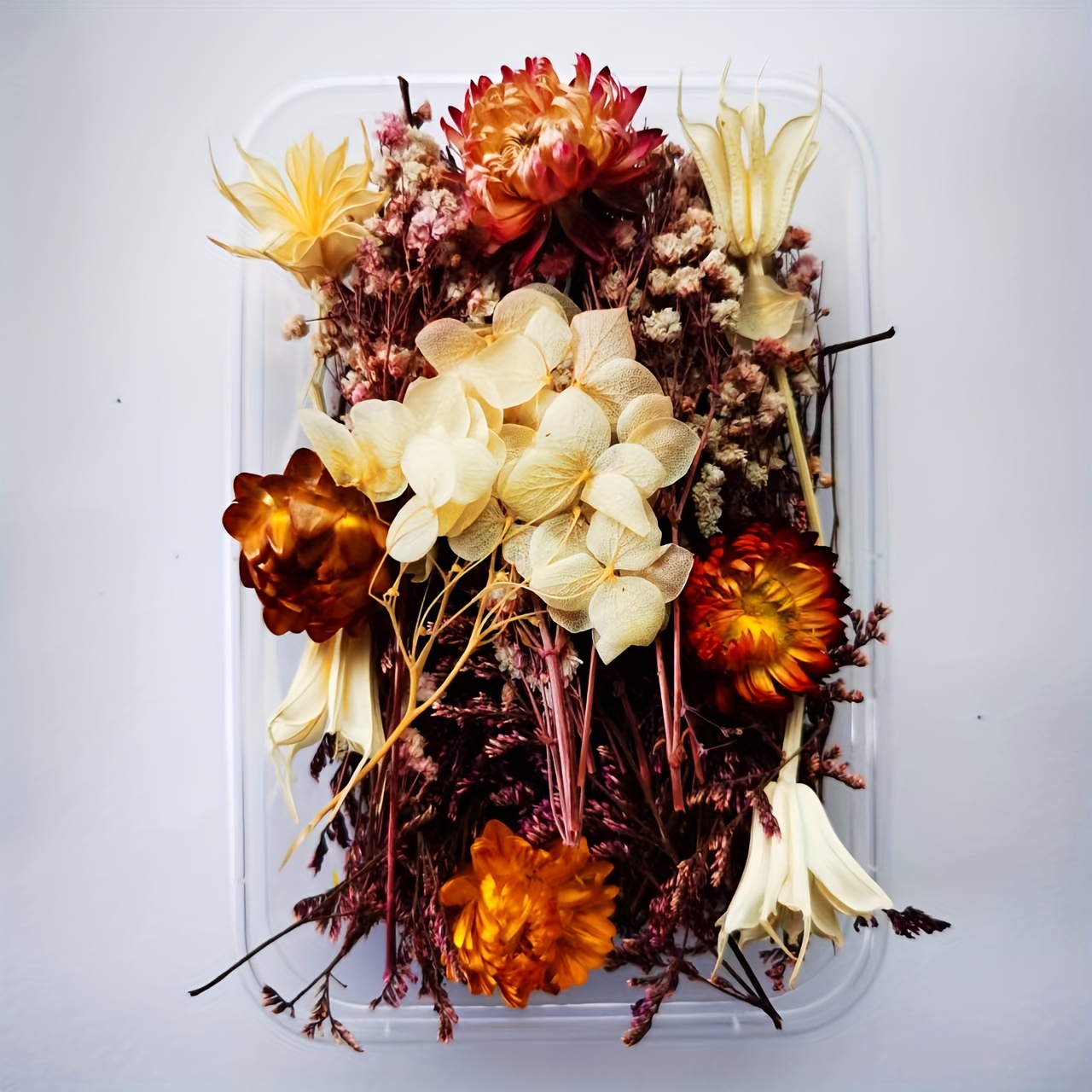 Random Color Dried Flower Bouquet Real Natural Dry Pressed - Temu