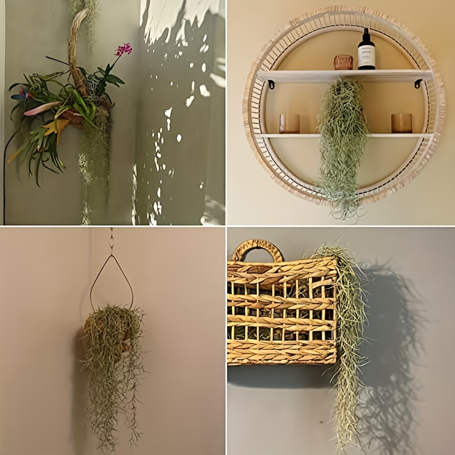 Zukuco Artificial Moss Vines Hanging Plants, Faux Greenery Moss for Potted Plants Realistic Fake Spanish Moss for Home Bedroom Wall Porch Garden Home