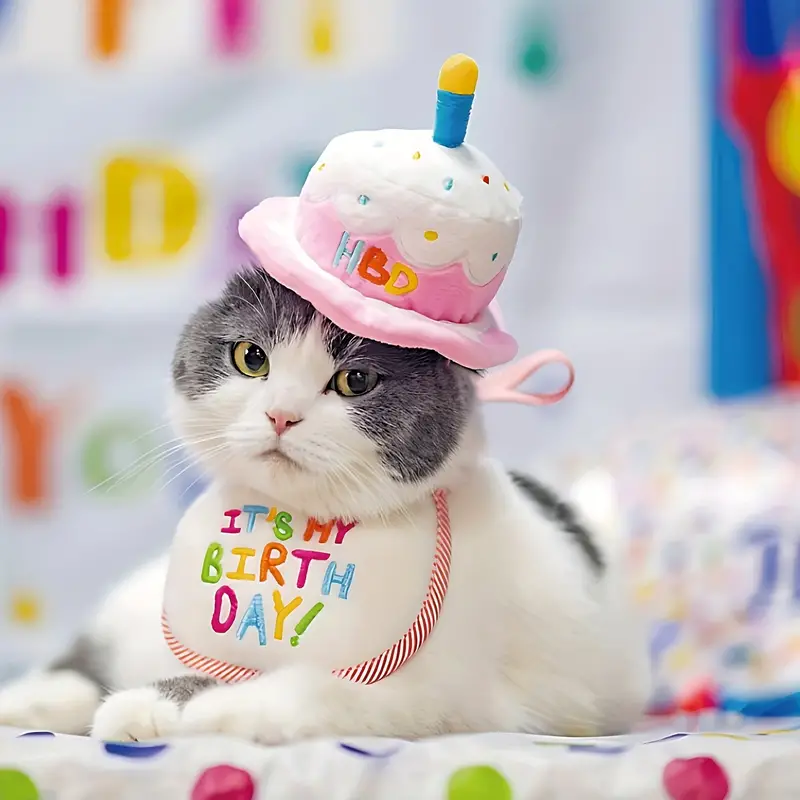 Gorro Cumpleaños Mascotas Bordado Gamuza, Sombrero Pastel Cumpleaños  Mascotas Vela Perros Gatos, Disfraz Fiesta, Pago En Línea Rápido Seguro