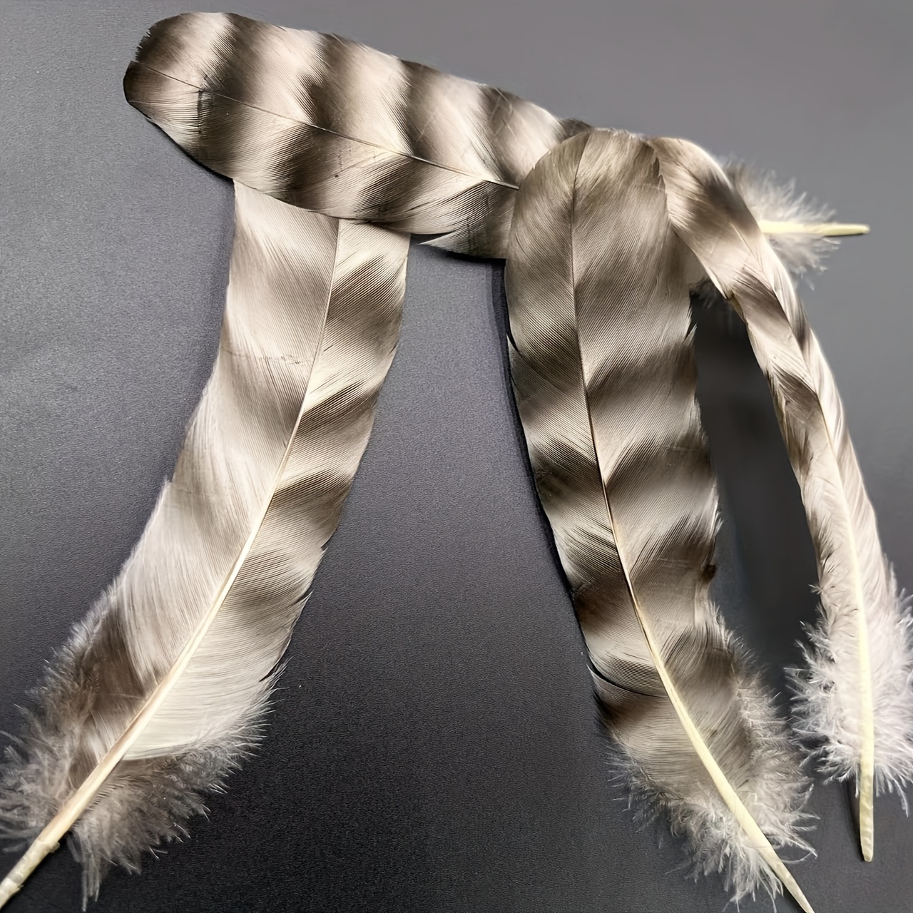 Natural Turkey Spotted Feathers, 30Pcs Pheasant Feathers for Crafts DIY Hat  US