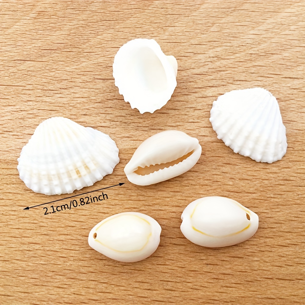 Natural Sea Shell Beads Strands, for DIY Craft Jewelry Making, Mixed Color,  8~18x5~10x5~10mm, about 109pcs/strand, 48 inch