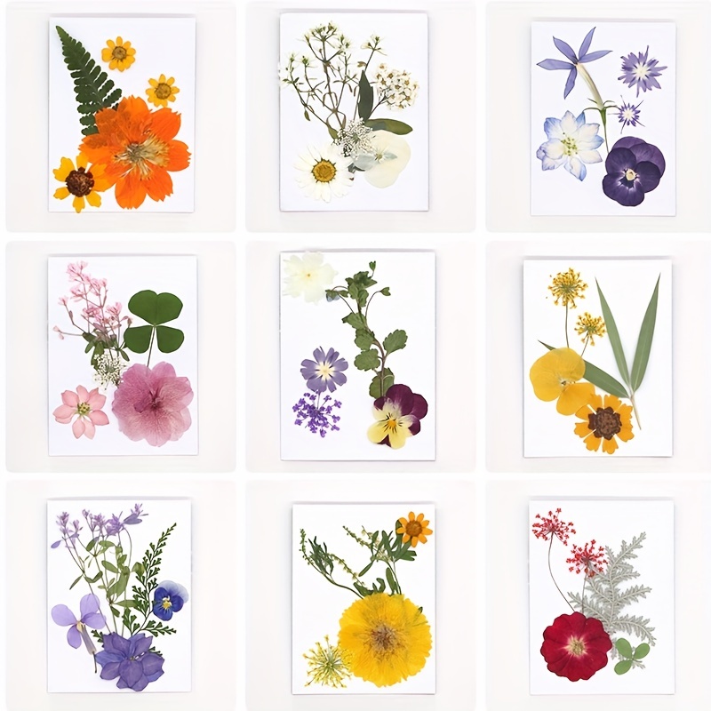  Easy-Press Dried Flower Bookmark Sticker Set, DIY