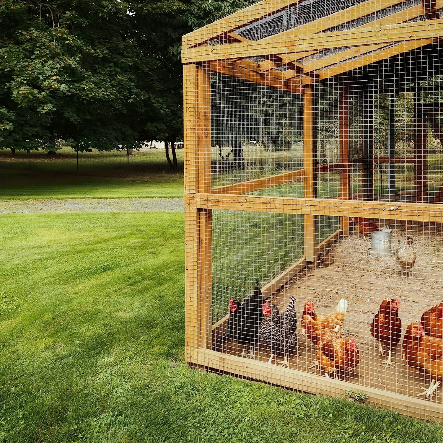 Chicken Fences: Chicken Wire Vs. Hardware Cloth - Backyard Poultry