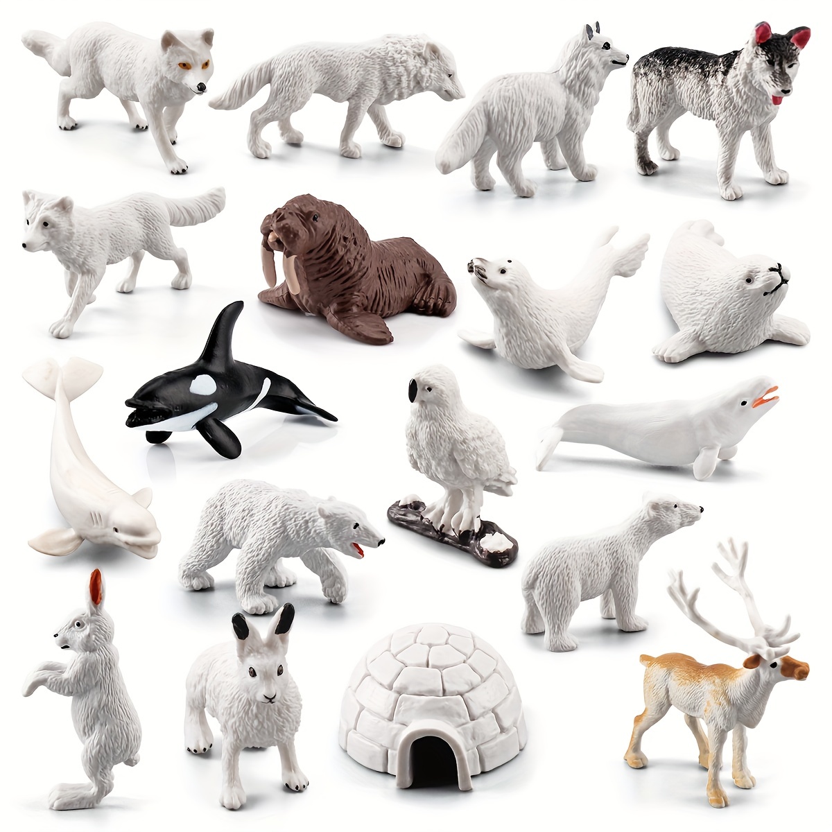 Animals of Canada Figurines - Funique - Science games, toys and