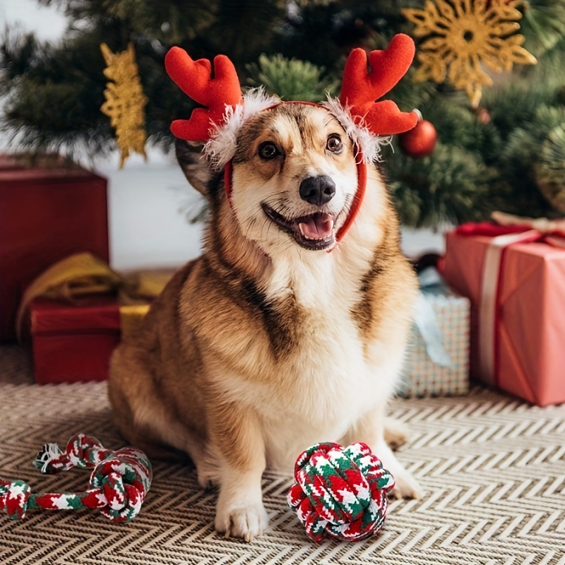 Dog Toy- Holiday Small Rope Ball