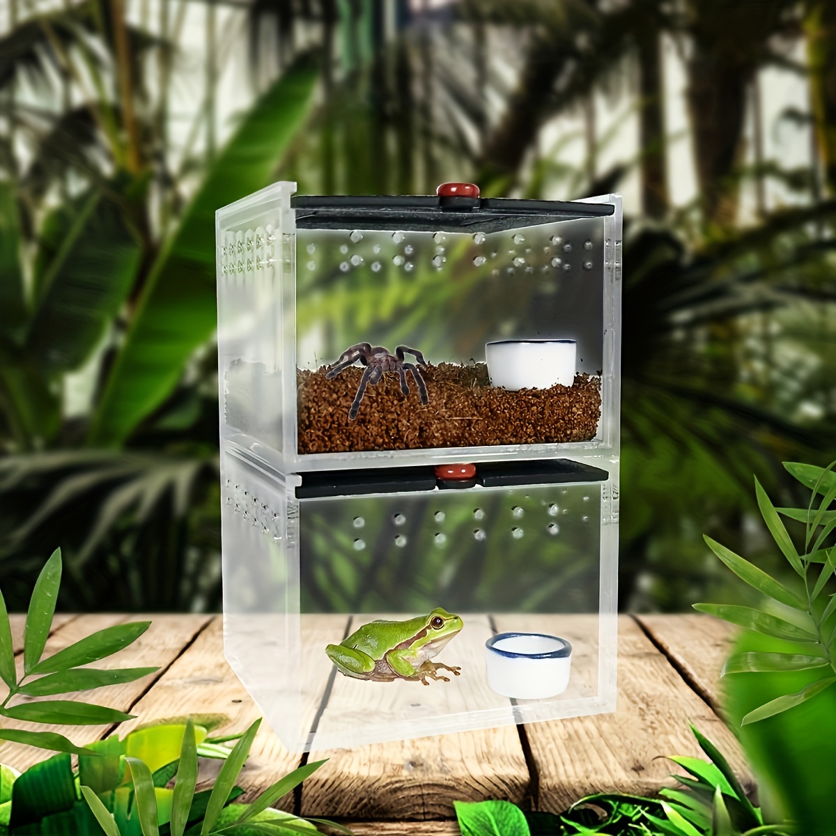  Spider Terrarium, Acrylic Reptile Breeding Box Jumping Spider  Enclosure with Dropper Tongs for Tarantula Scorpion Sling Isopods  Invertebrates Snake Gecko : Pet Supplies