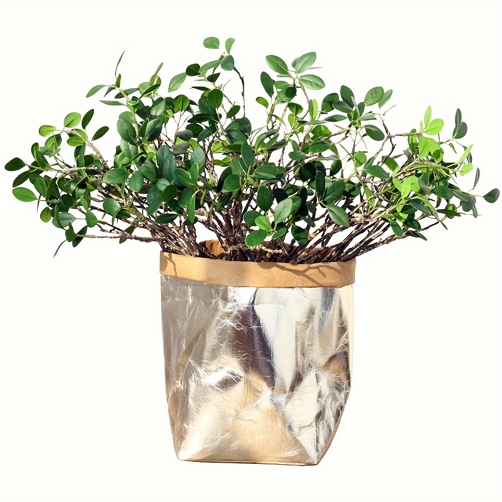 blumenkasten mit rollen gro robinia-pro PFLANZKASTEN mit SICHTSCHUTZ, auf Rollen  robinia24