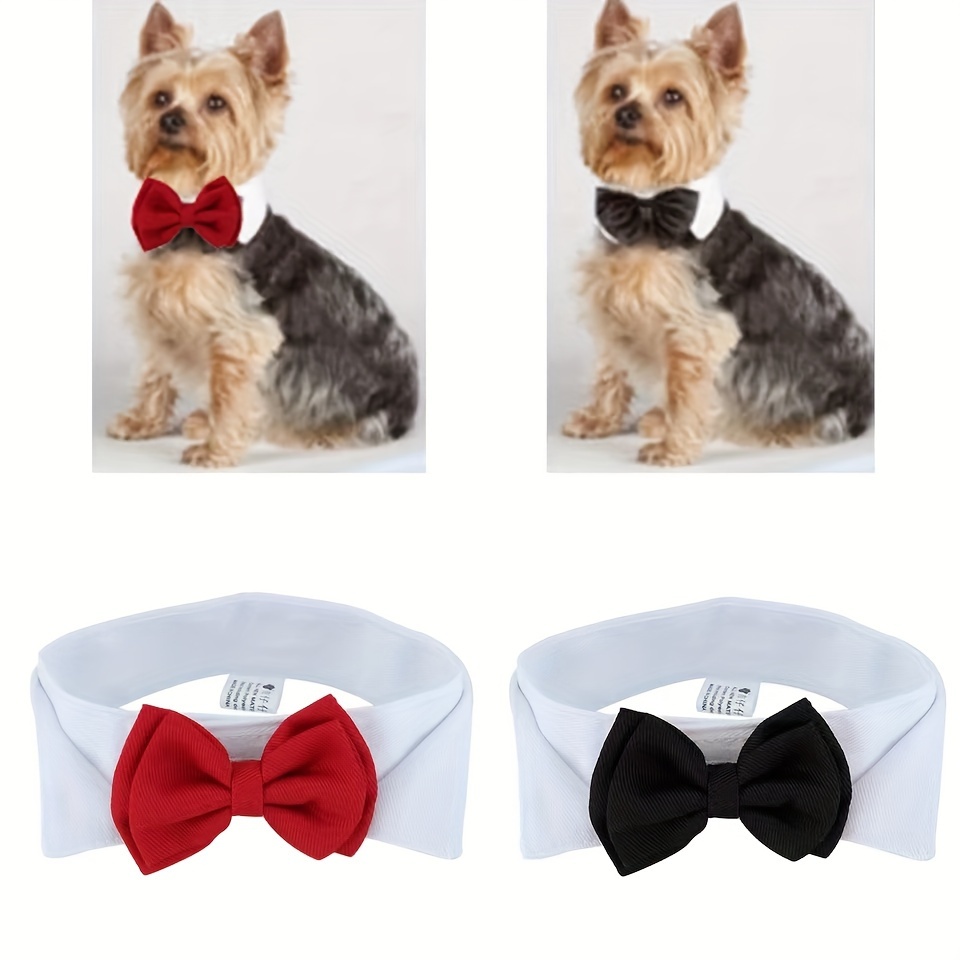 Koolmox Corbata y corbata para mascotas, corbata negra para perro y  pajarita con collar blanco para perros medianos y grandes, gatos, trajes de