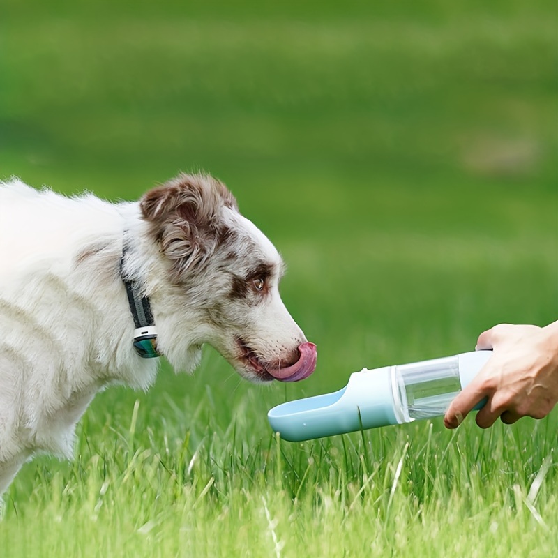 Portable Dog Water Bottle With Food Container Outdoor Water - Temu