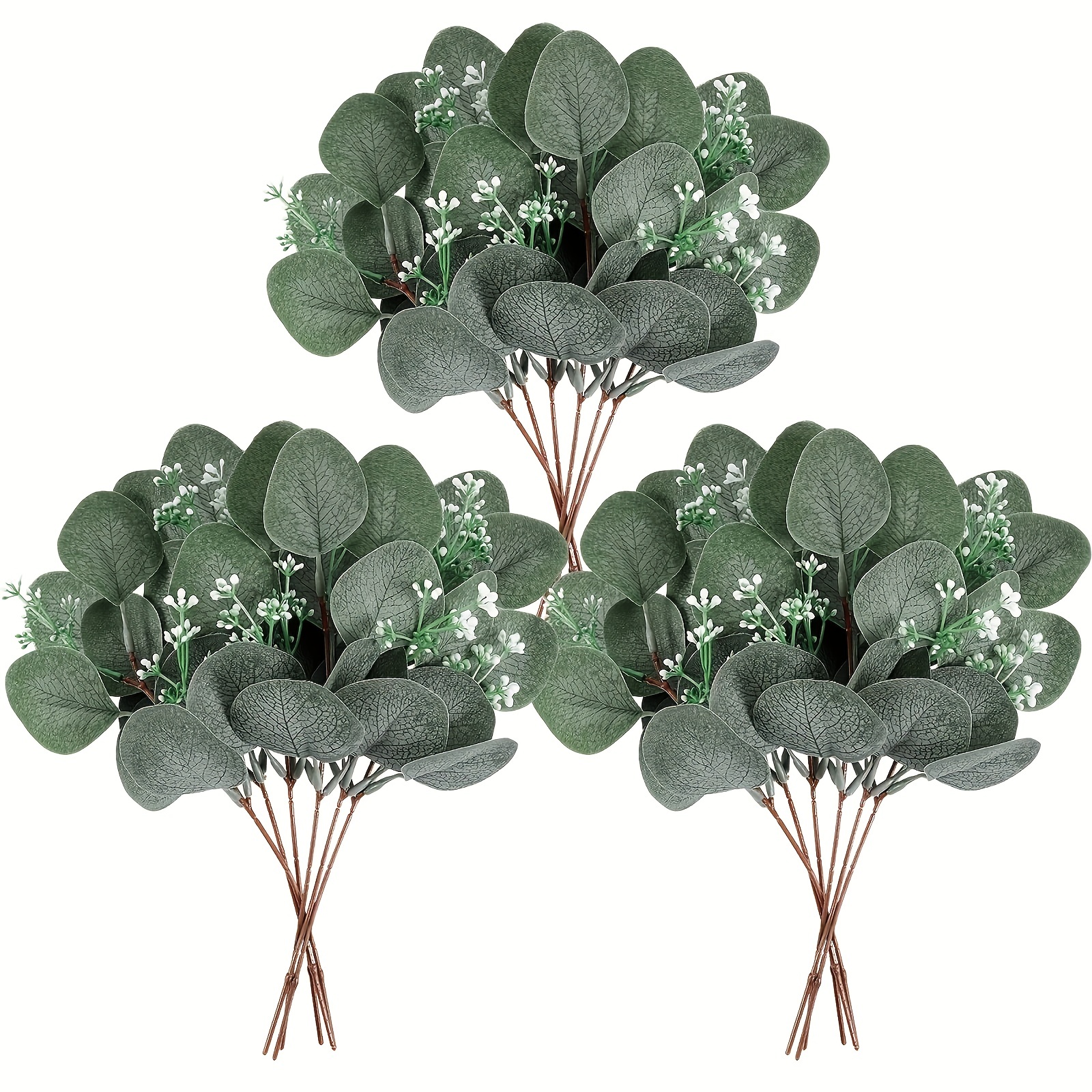 12pcs Branches d'eucalyptus séchées Tiges de verdure, 17 pouces 100%  vivants Feuilles d'eucalyptus Plante Verdure D