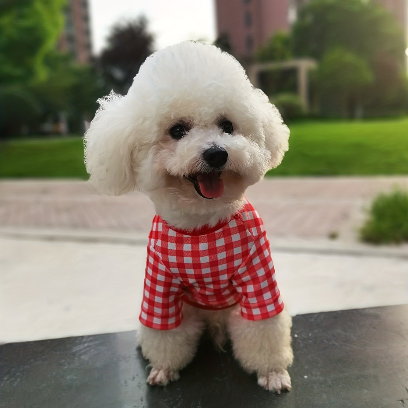 Red plaid best sale dog shirt