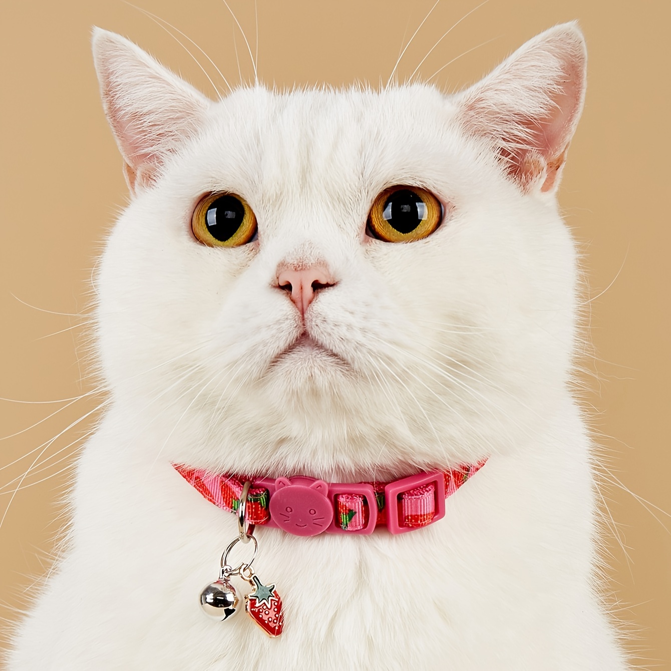 

Breakaway Cat Collar With Bell, Colorful Fruit Pattern Adjustable Length Pet Collar For Cat Kitten Dog Puppy