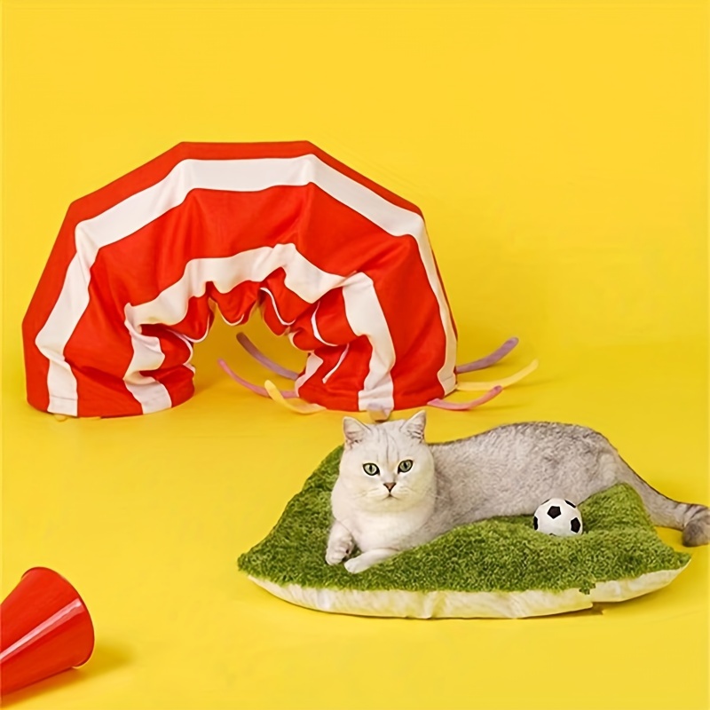 pet cat cat outside dog Temu