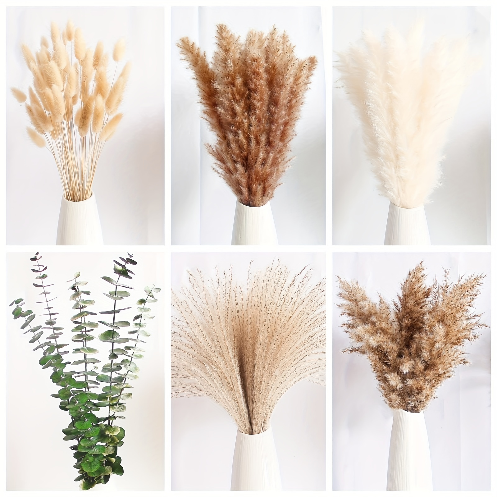 Dried Flowers Pampas Grass Boho Decor Dried Pampas Grass For - Temu