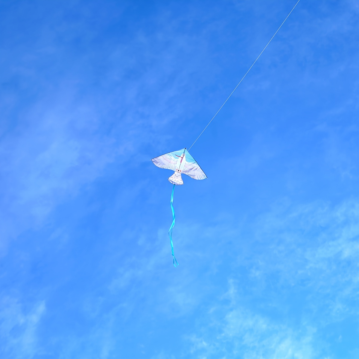 Piquet de sol QG – Flying Smiles Kites