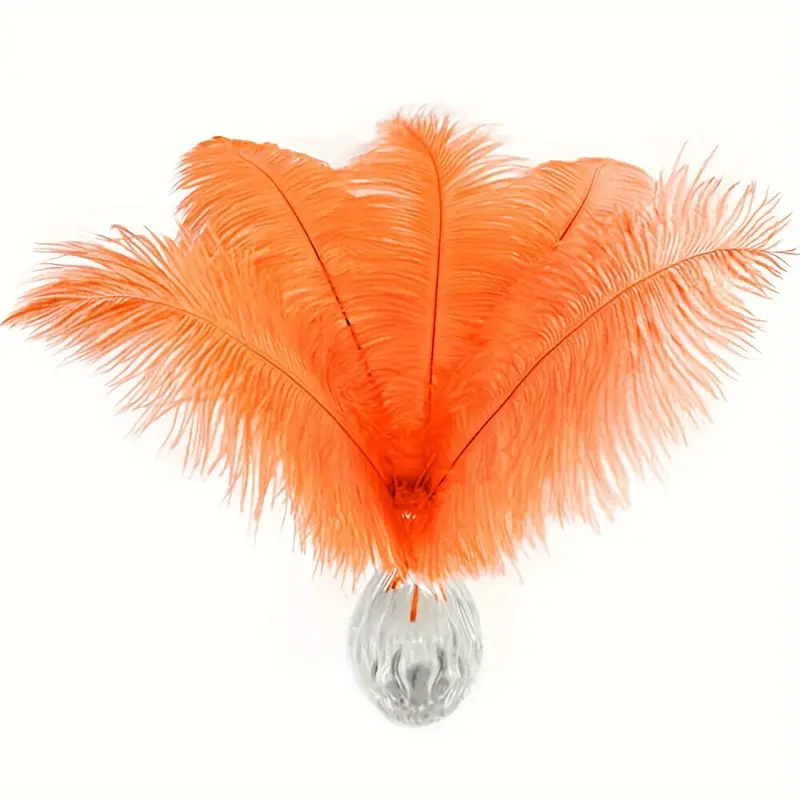 Natural Ostrich Feathers / Bulk For Diy - Temu