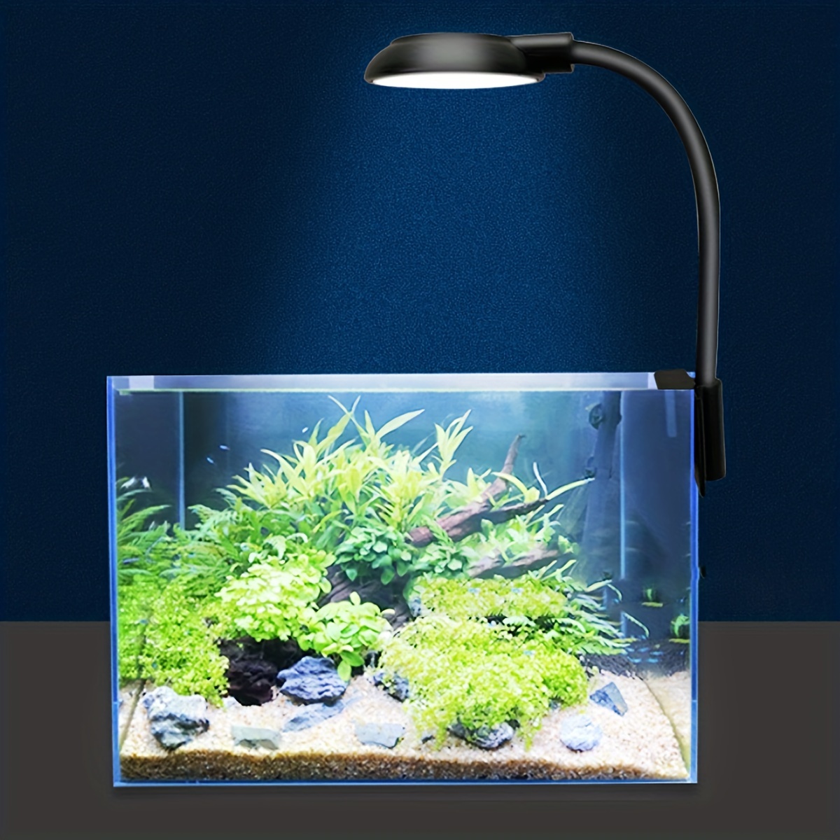 El Acuario de LED Luz con interfaz USB de la Junta de bambú pecera con  temporizador de luz - China Paisaje de la luz de la planta de Micro, Luz de  acuario