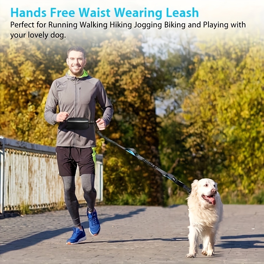 Laisse mains-libres réglable pour chien, élastique, pour marche