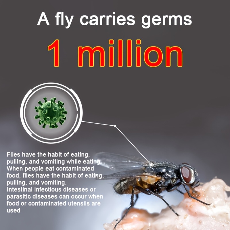 Fruit Fly Trap Indoor Gnats Trap Reusable Fruit Flies Catcher Fruit Fly  Killer Pet And People Safe - Temu