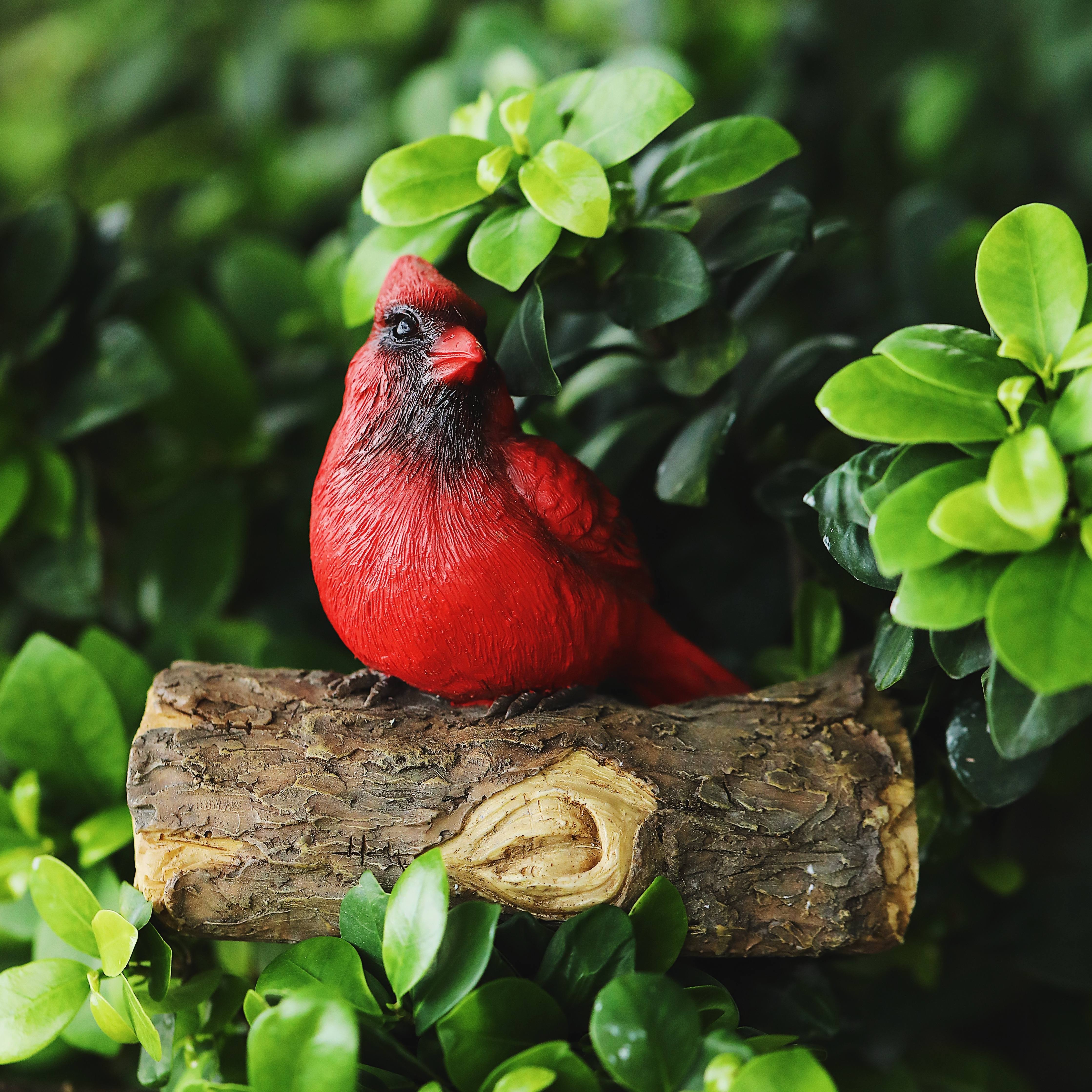 Decoración de pájaros decorativos, estatuas y figuras de pájaros para  exteriores e interiores, decoración de pájaros para el hogar y el jardín,  tamaño