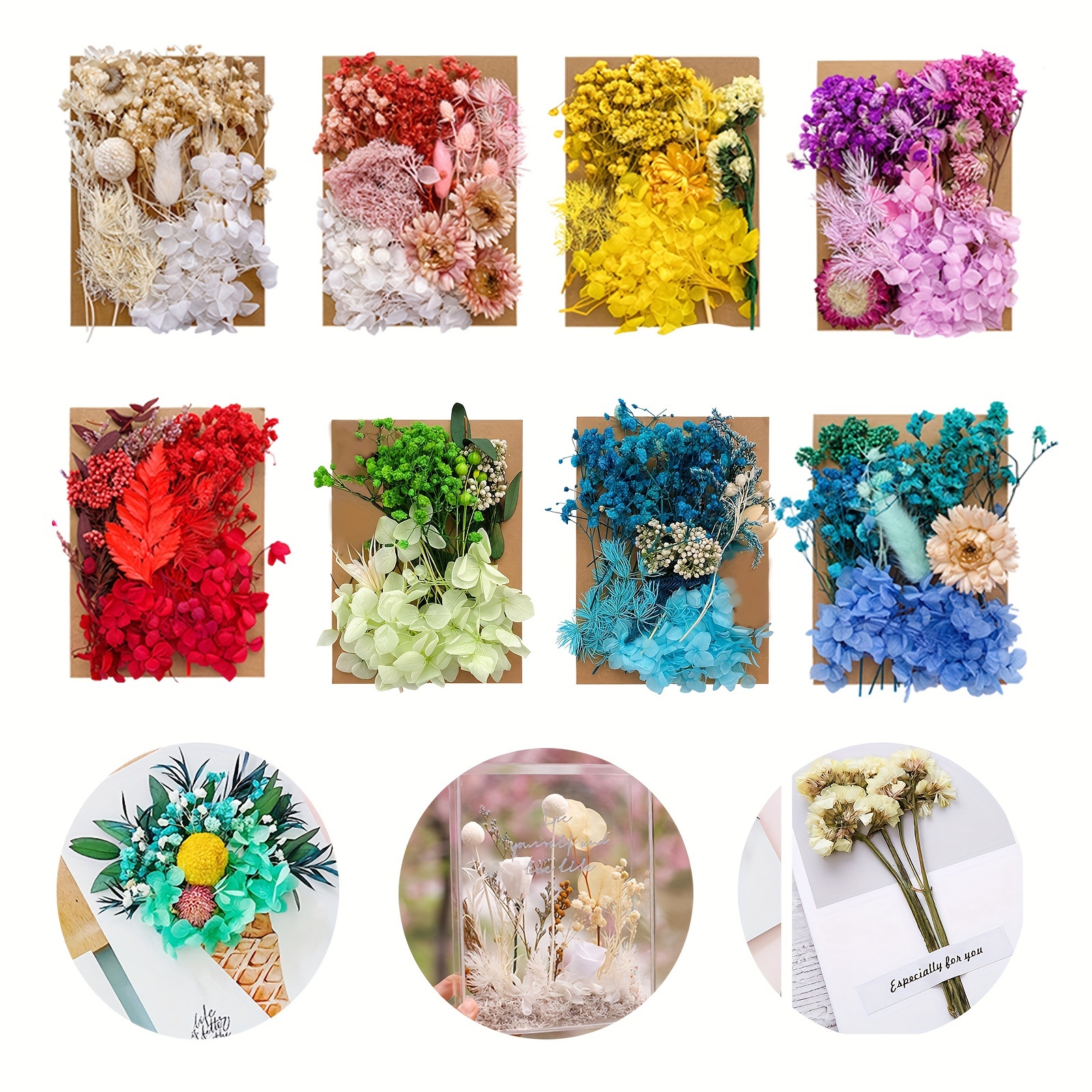 Поделки из сухих цветов своими руками - фото и картинки: 75 штук
