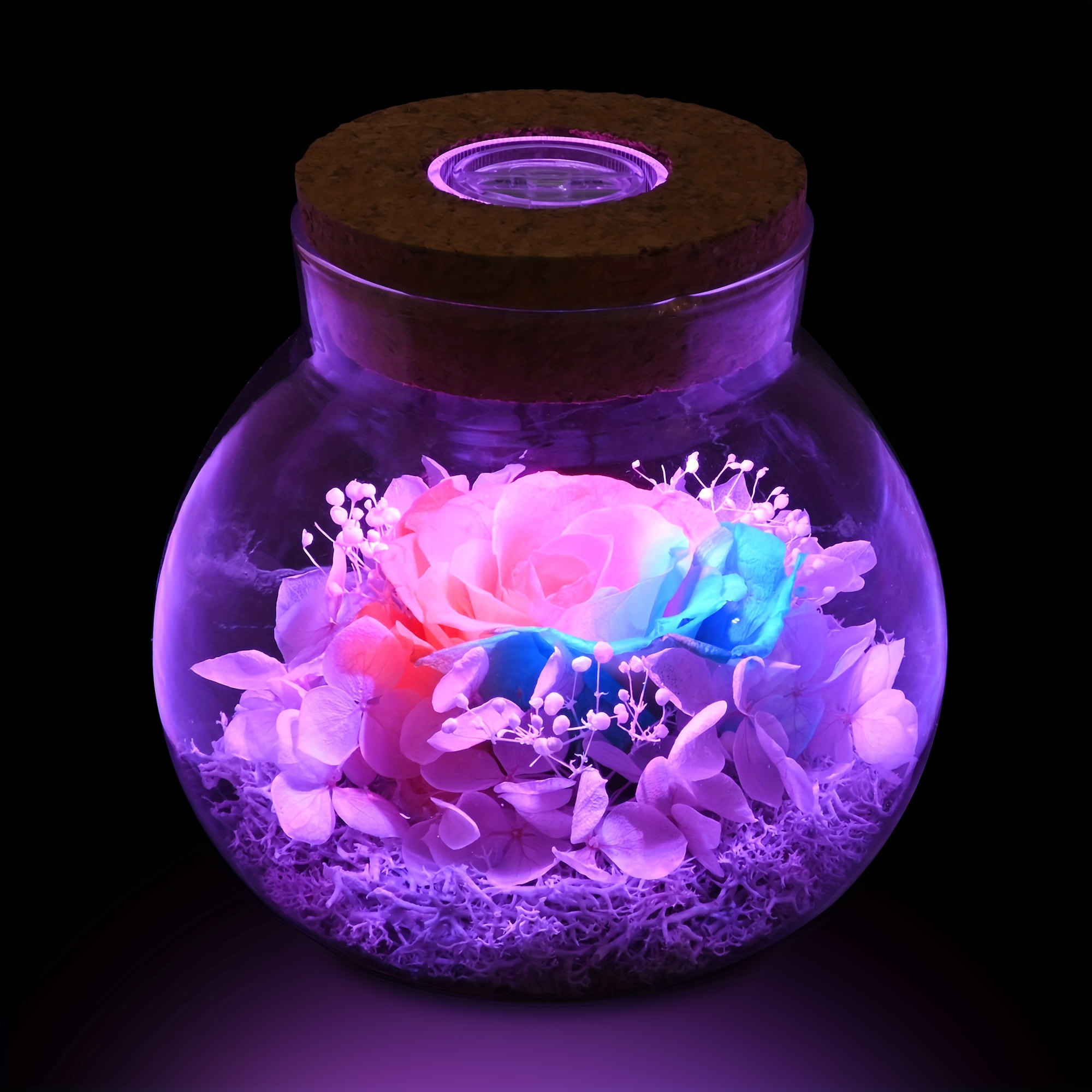  certainPL Fresh Preserved Rose Flower Lighted Glass