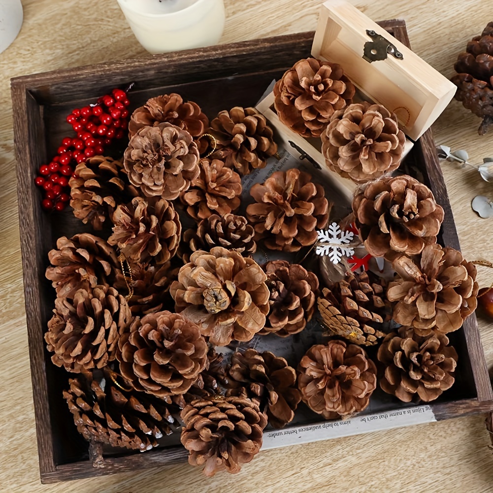 Christmas Pine Cones Box Small Pine Cone Ornaments For - Temu