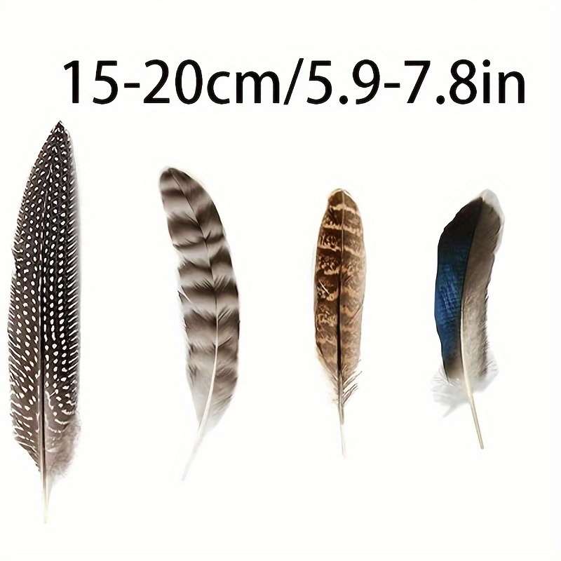 Natural Pheasant Feathers Spotted Feathers Turkey Feathers 4 - Temu