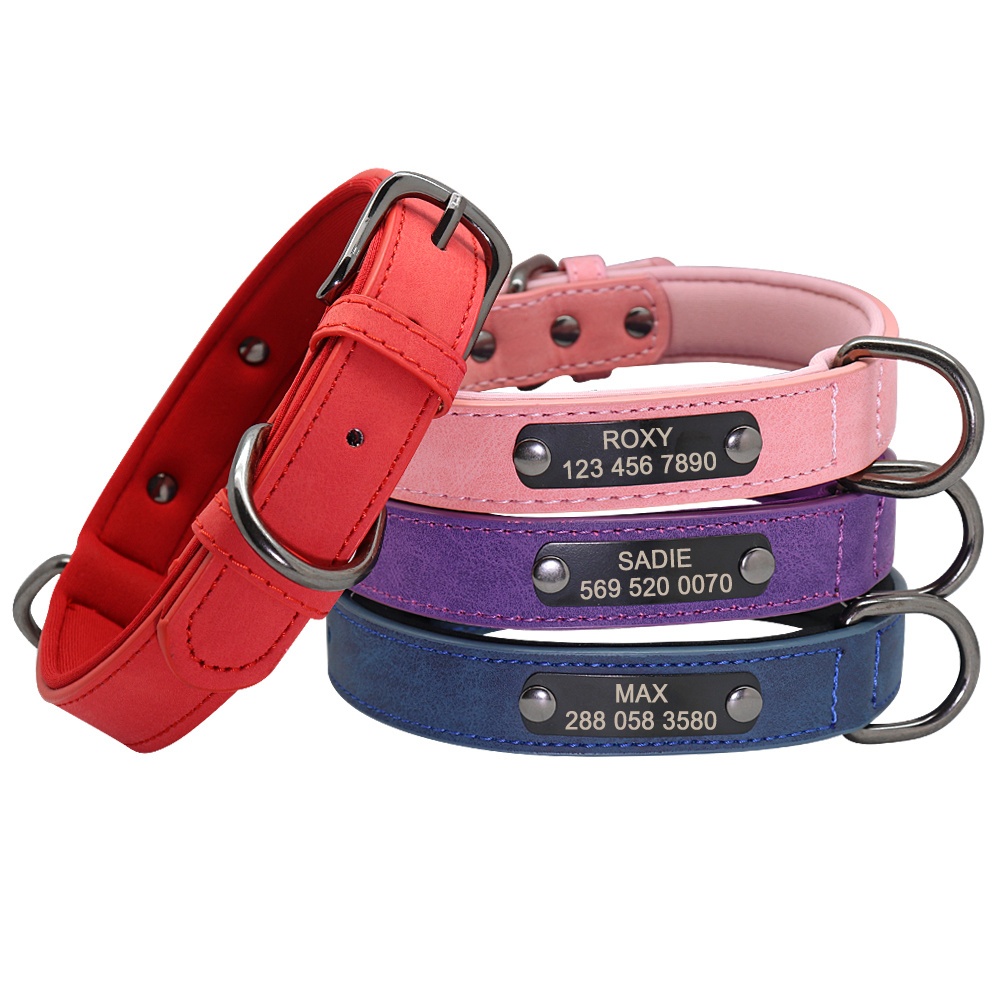 Personalized store puppy collars