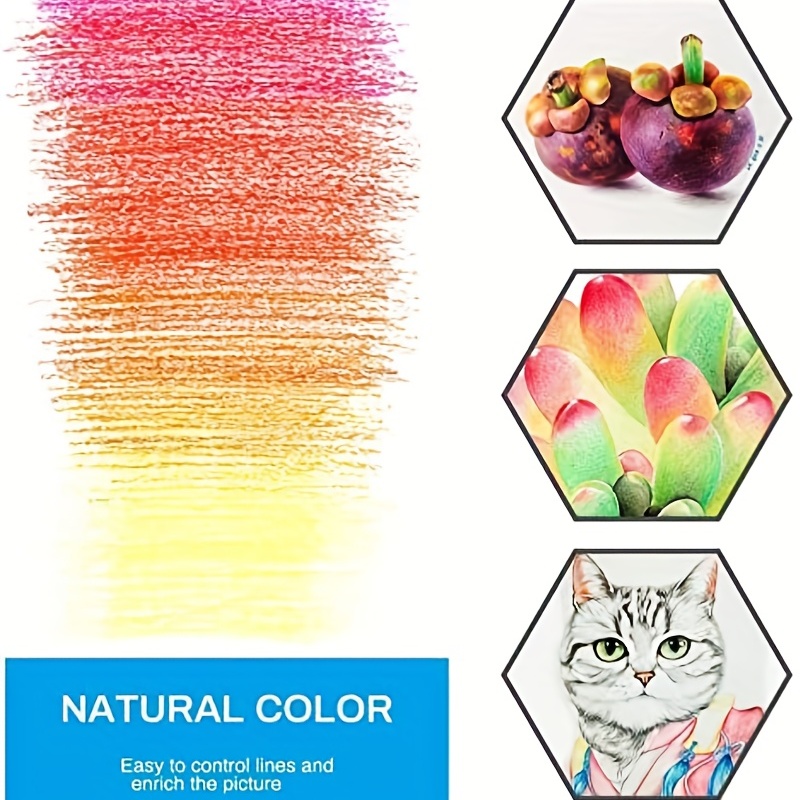 Suitcase Colour Kit - Animal Art Kit For Kids with Multicolor