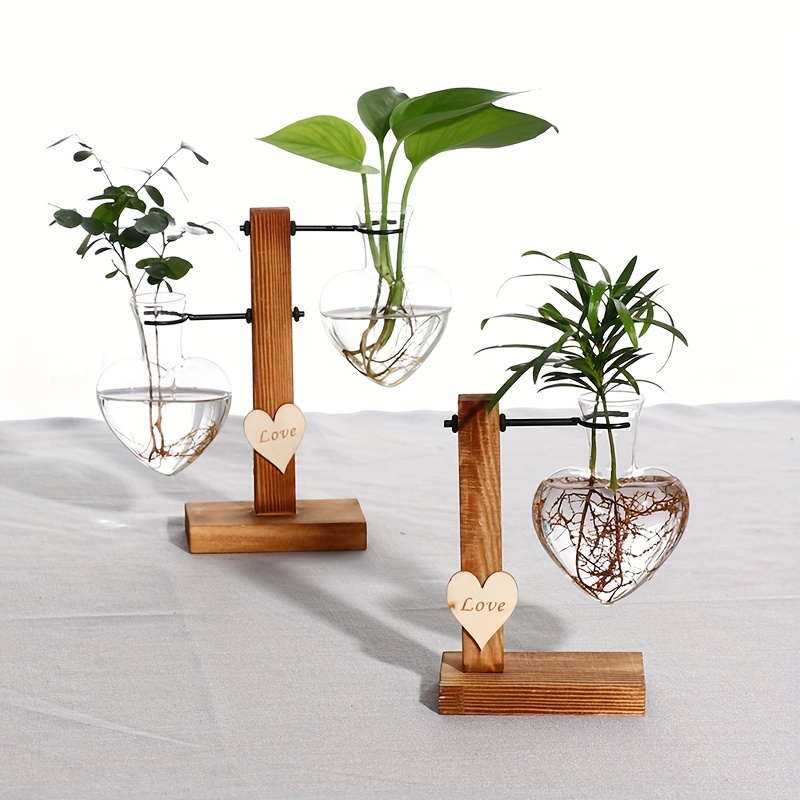Micro Landscape Glass Vase Succulent Plant Terrarium - Temu