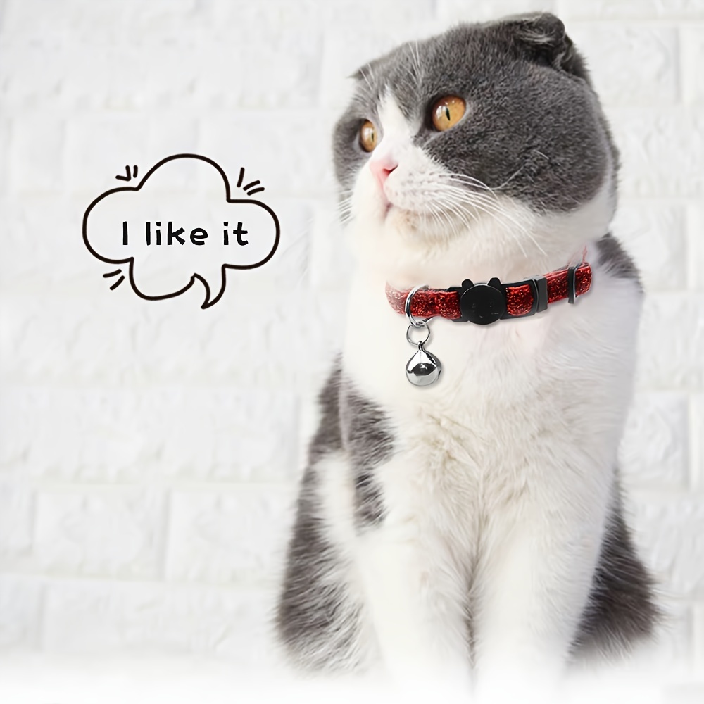 Customized collar hotsell for cats