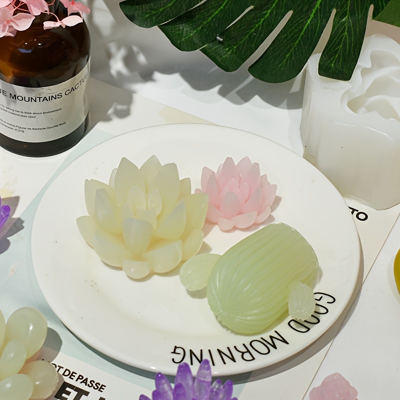36 kinds succulent plant mold cactus plant mold silicone - Temu Australia