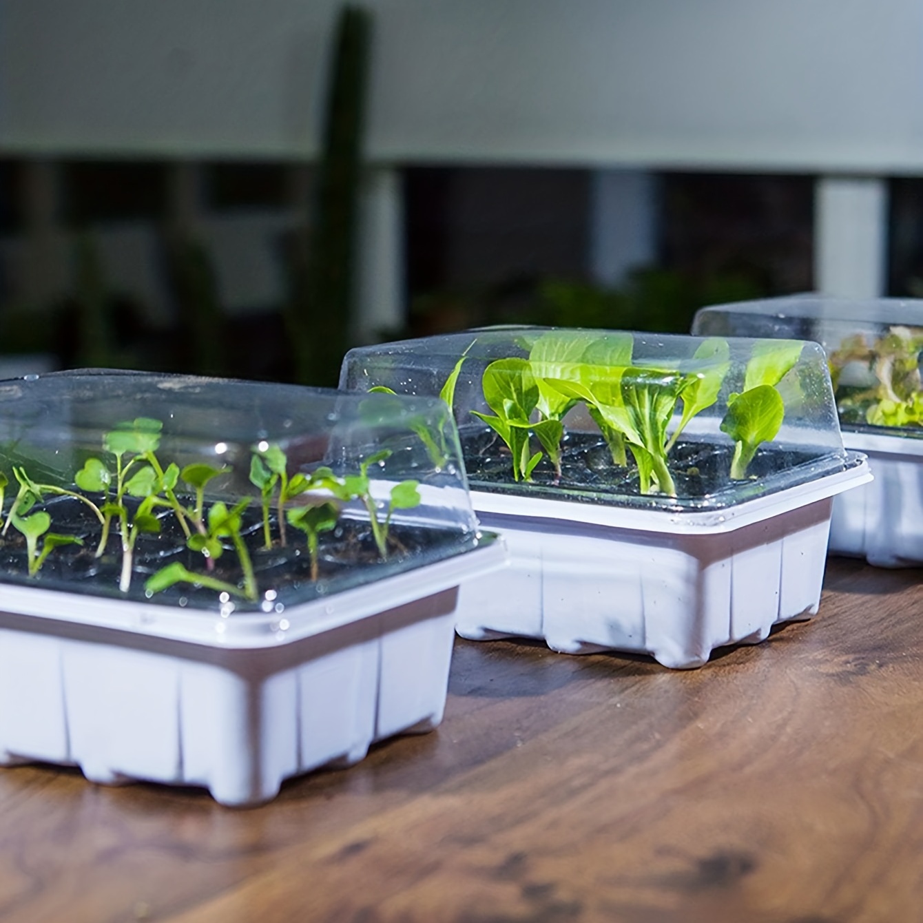 Nicoone, fioriera da appendere per piante da balcone, in metallo, per  interni ed esterni. : : Giardino e giardinaggio