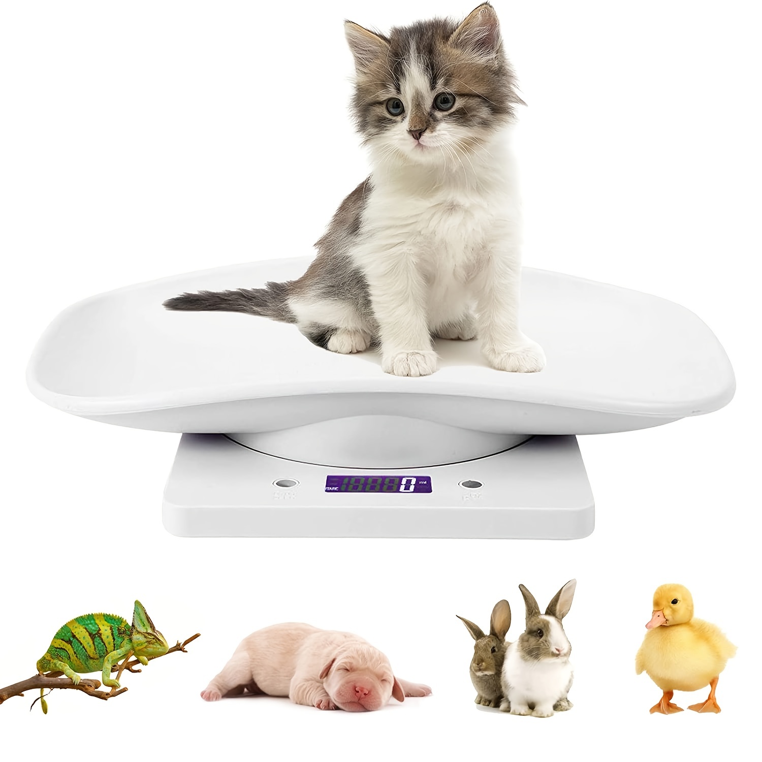 Digital Pet Scale With Lcd Display, 4 Weighting Modes (oz/ml/lb/g) For Pets  And Kitchen