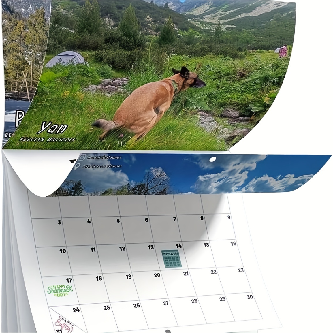Calendrier mural 2024 - Calendrier des chiens de caca 2024 12 Planificateur  mensuel, calendrier drôle de chien Calendrier des farces murales Cadeaux