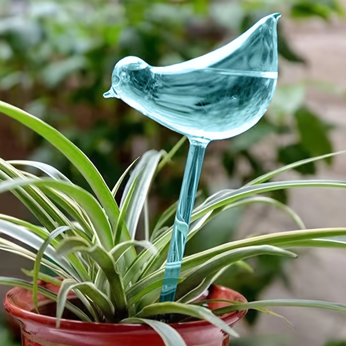 Arroseur de plantes Globes auto-arrosants en forme d'oiseau