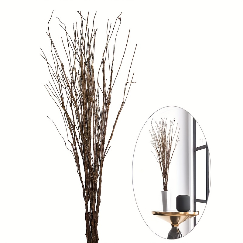 Curly Willow Branch Home Decor