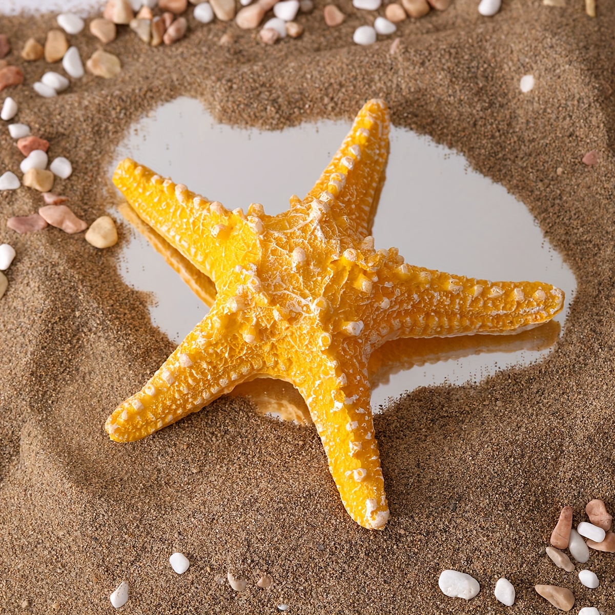 Juego de 21 adornos de estrellas de mar, decoración de estrella de mar, red  de peces de mar, estrella de mar, decoración de pared, decoración náutica