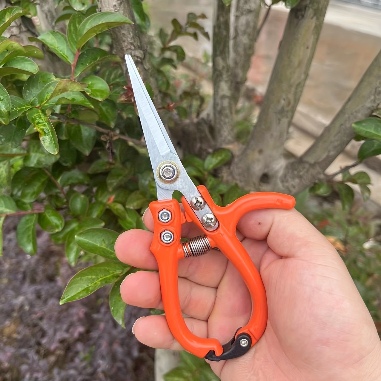 Tools Scissors Gardening Branch Shears