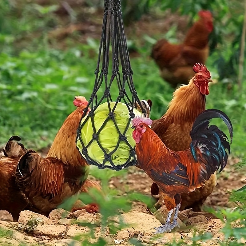 Chicken Vegetable String Bag,Poultry Fruit Holder, Pet Chicken Vegetable  Hanging Feeder Treat Feeding Tool with Hook for Hens Chicken Coop Duck  Large