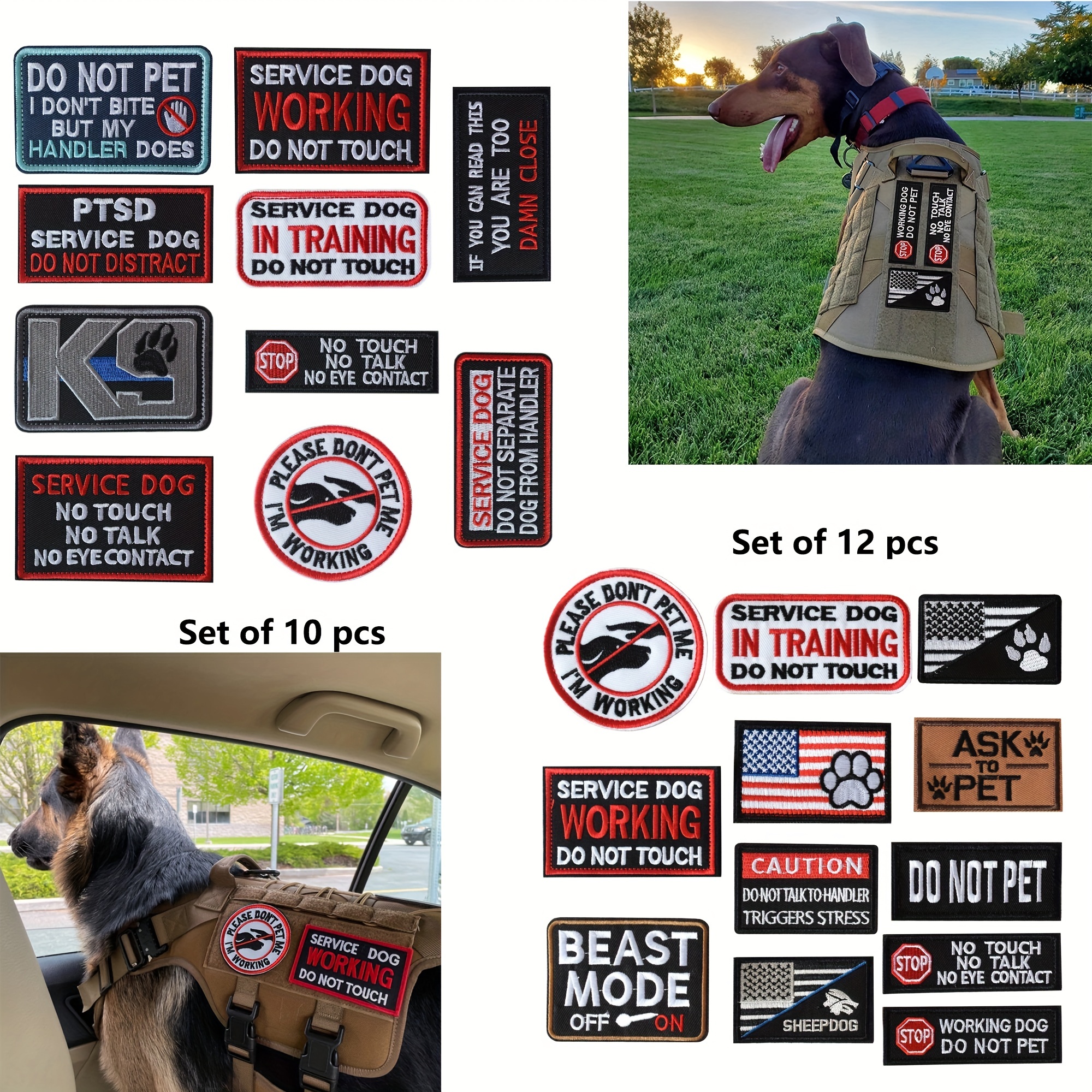 PTSD SERVICE DOG IN TRAINING DO NOT TOUCH Patches Working DOG THERAPY  TRAINING dog Tactical k9